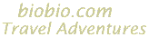 banner,ta,lt.gif (834 bytes)
